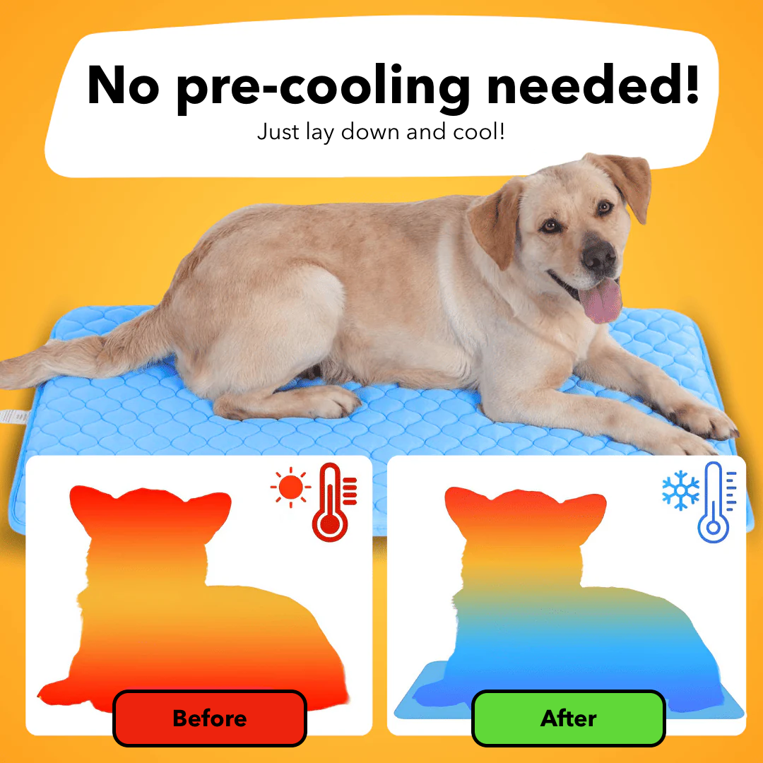 FrostyPad™ – Keeps Pets Cool & Comfy