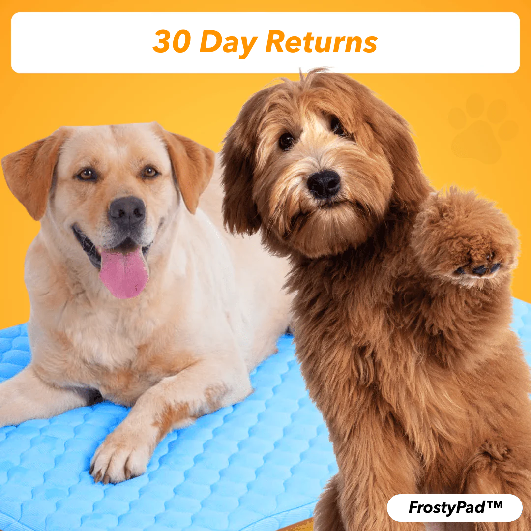 FrostyPad™ – Keeps Pets Cool & Comfy