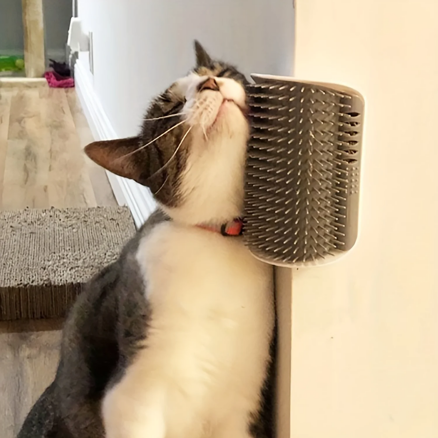 Self Grooming Wall Attachment