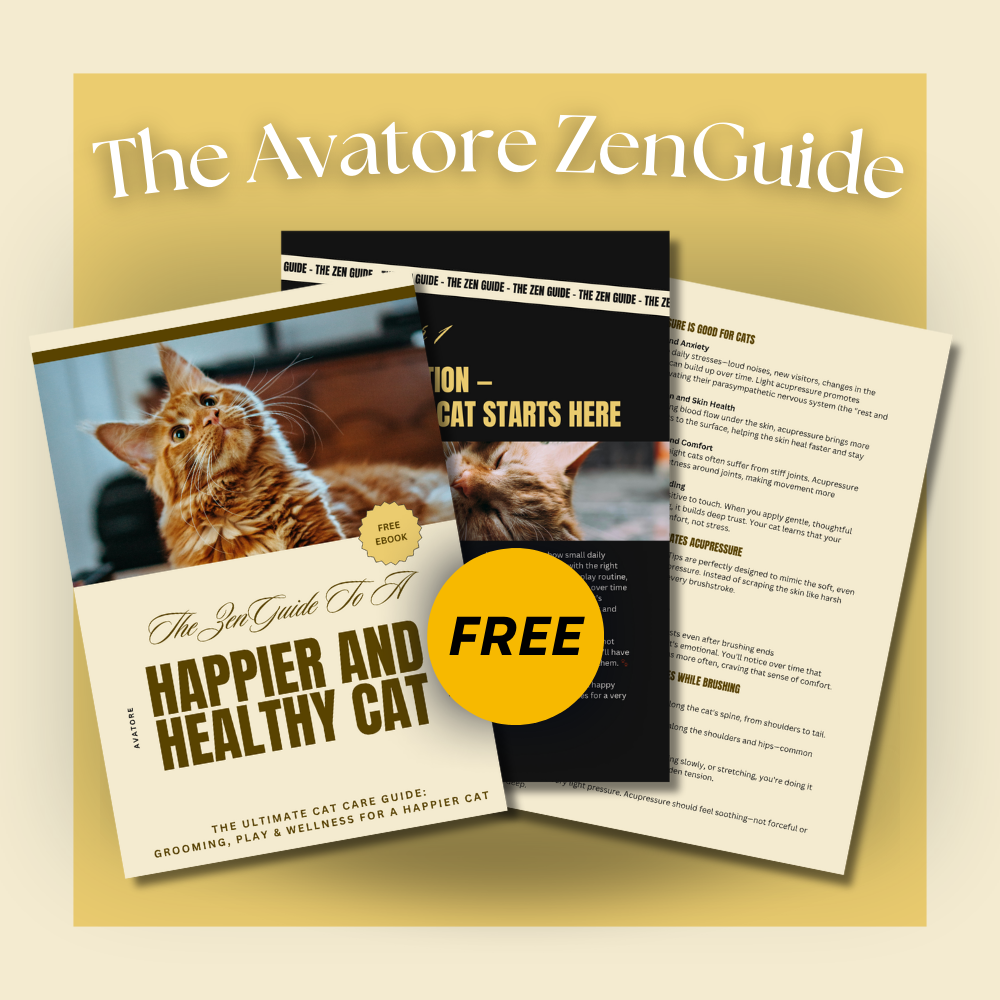 ZenGuide eBook