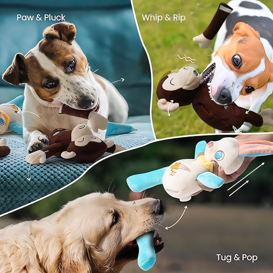 2 Pack Pull Apart Dog Toy