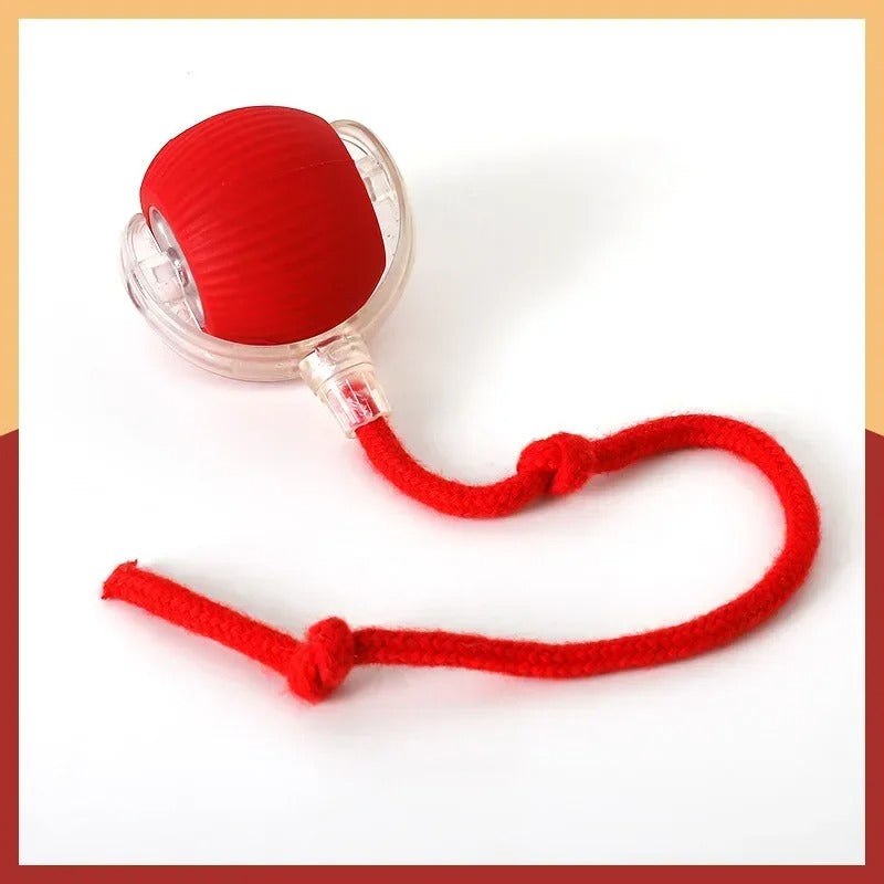Interactive Ball Toy & Quick Dry Towel