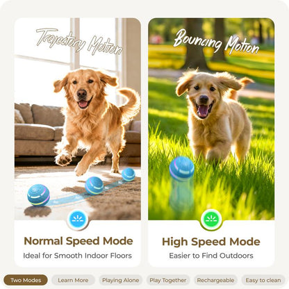 ZoomOrb – Motion-Sensing Dog Play Ball