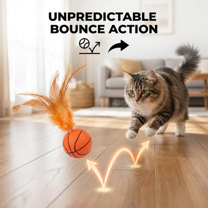6Pack Hunt & Bounce Sports Balls