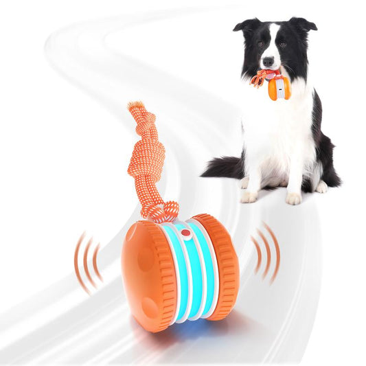 SkitterBall – Motion-Activated Dog Toy