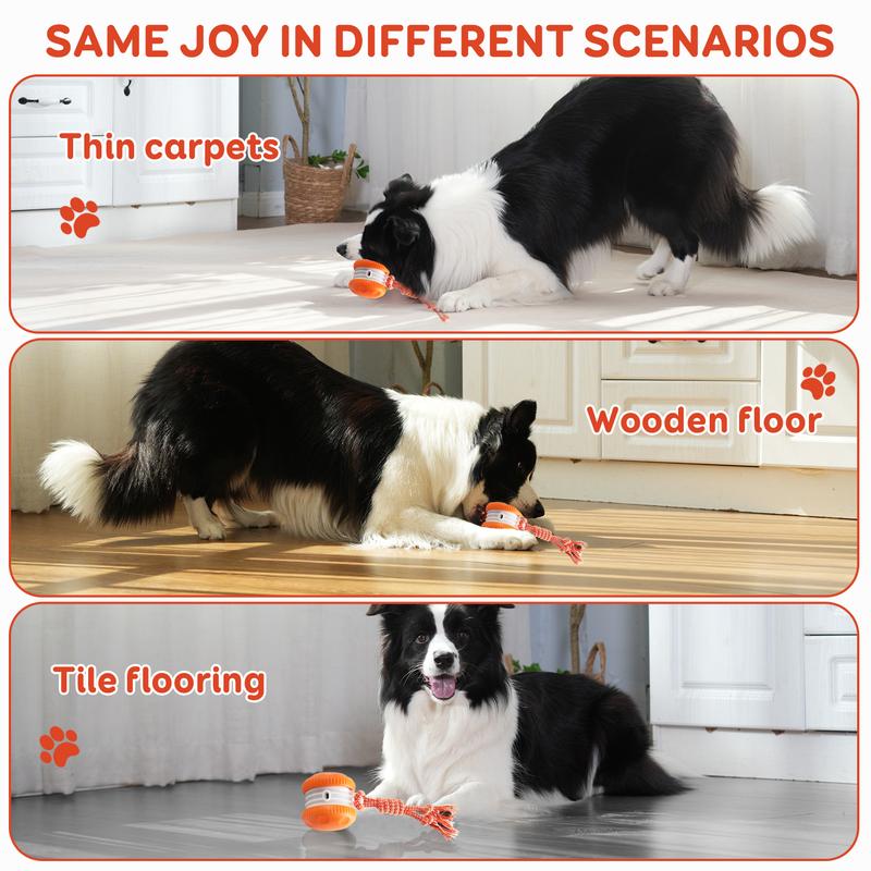 SkitterBall – Motion-Activated Dog Toy