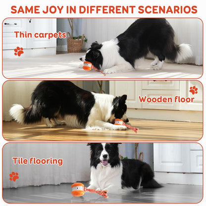 SkitterBall – Motion-Activated Dog Toy
