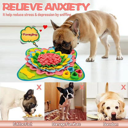 SniffBloom™ – Interactive Snuffle Mat