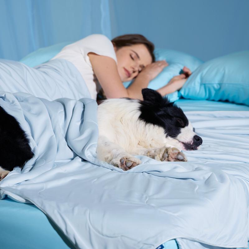 FrostyPaws – Cooling Blanket for Pets