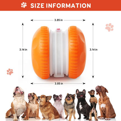 SkitterBall – Motion-Activated Dog Toy