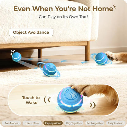 ZoomOrb – Motion-Sensing Dog Play Ball