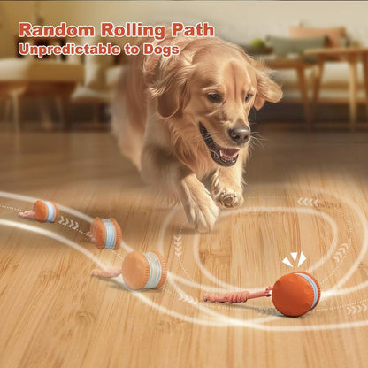 SkitterBall – Motion-Activated Dog Toy