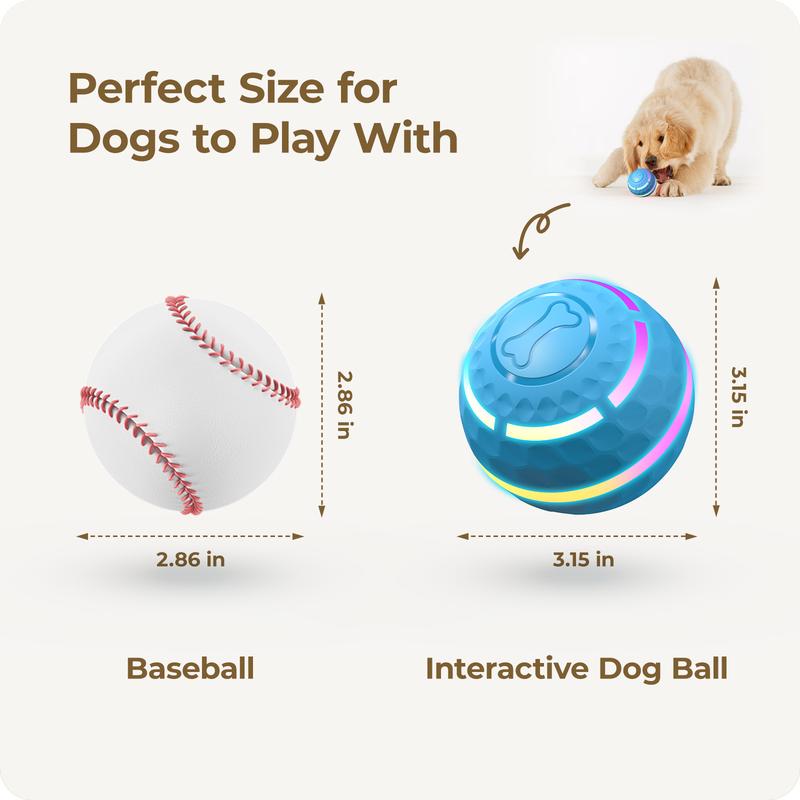 ZoomOrb – Motion-Sensing Dog Play Ball