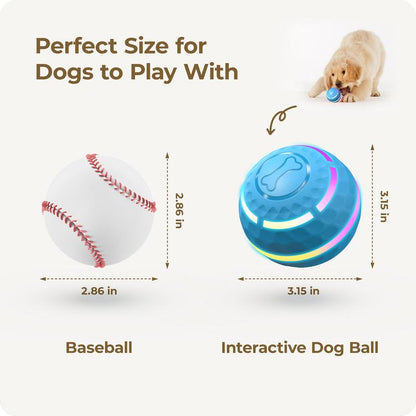 ZoomOrb – Motion-Sensing Dog Play Ball
