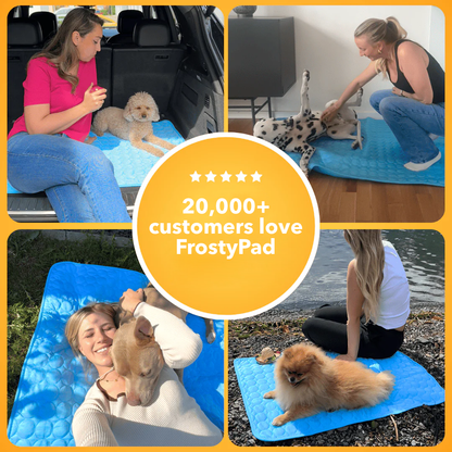 FrostyPad™ – Keeps Pets Cool & Comfy