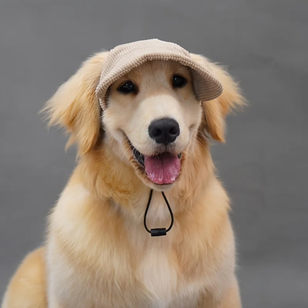 Corduroy Dog Baseball Cap