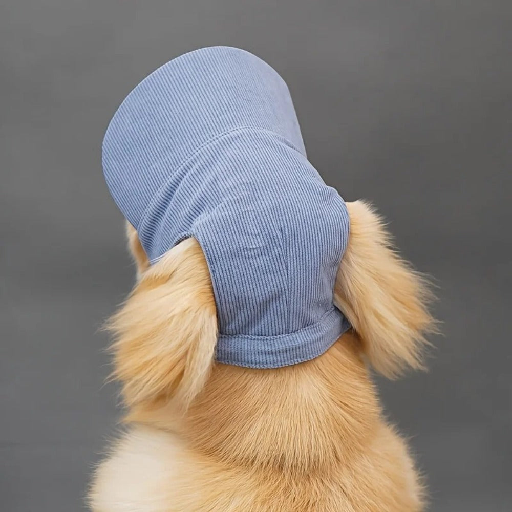 Corduroy Dog Baseball Cap