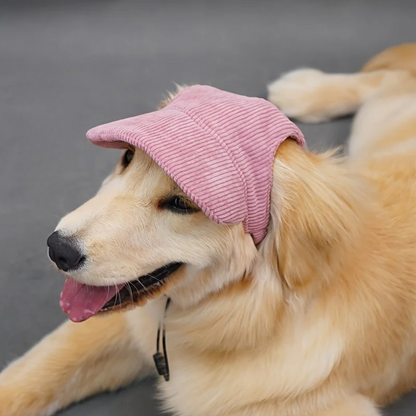 Corduroy Dog Baseball Cap