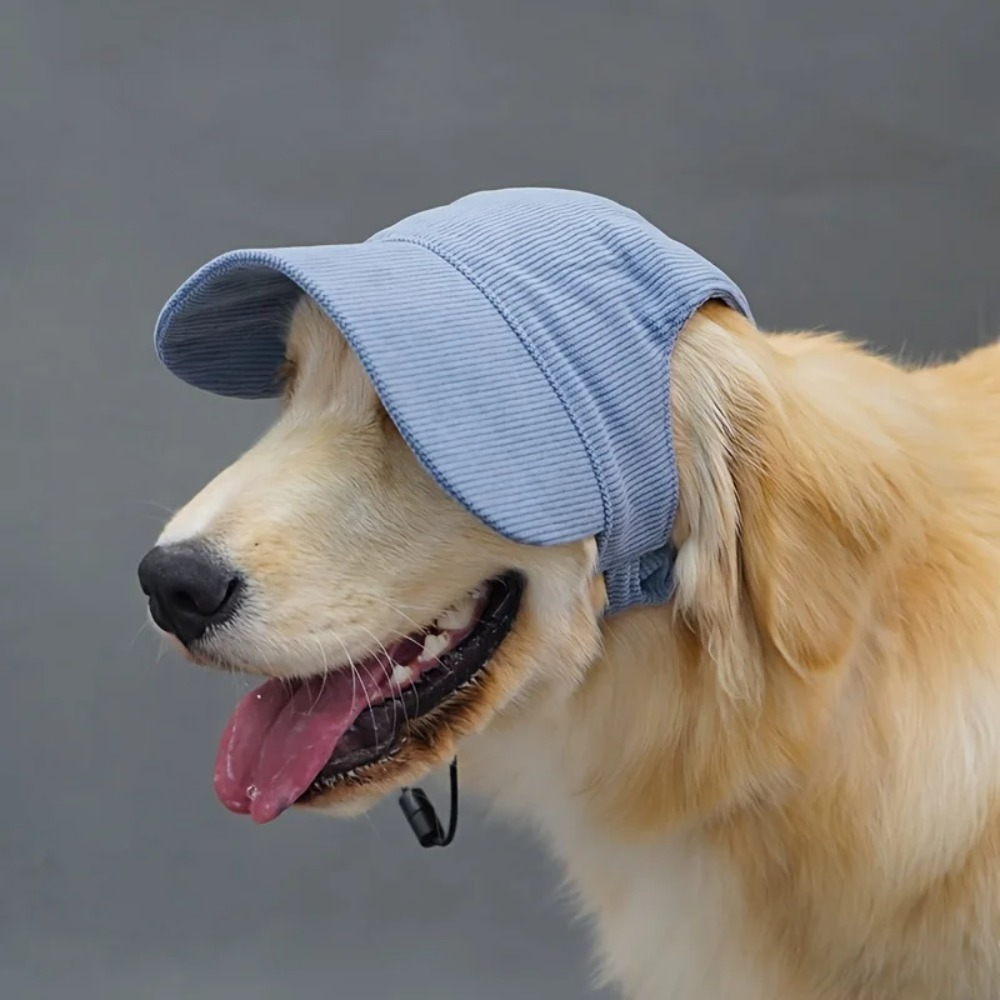 Corduroy Dog Baseball Cap