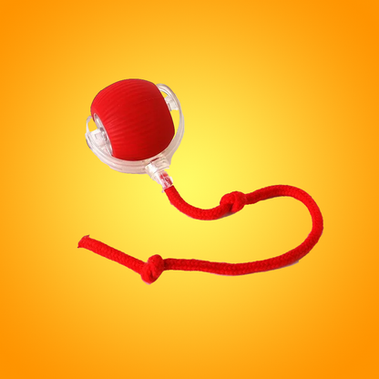 Interactive Ball Toy