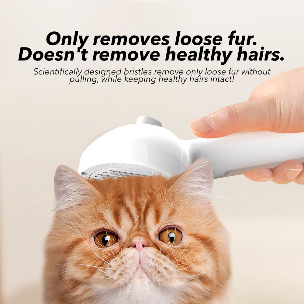 MistBrush™ 2.0 – Spray, Groom & Remove Loose Fur