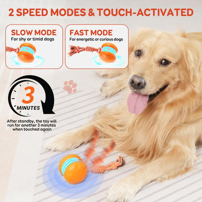SkitterBall – Motion-Activated Dog Toy
