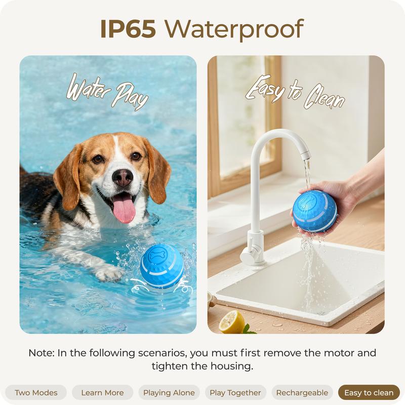 ZoomOrb – Motion-Sensing Dog Play Ball