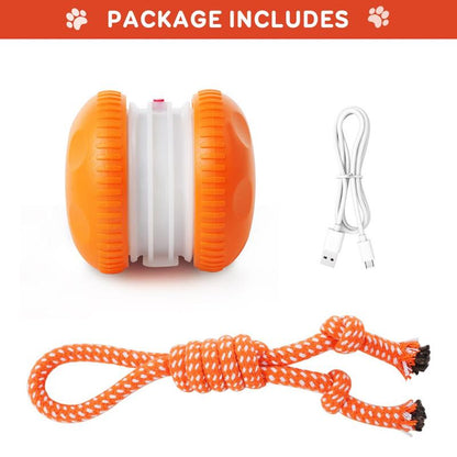 SkitterBall – Motion-Activated Dog Toy
