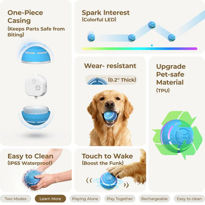 ZoomOrb – Motion-Sensing Dog Play Ball
