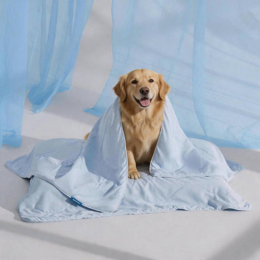 FrostyPaws – Cooling Blanket for Pets