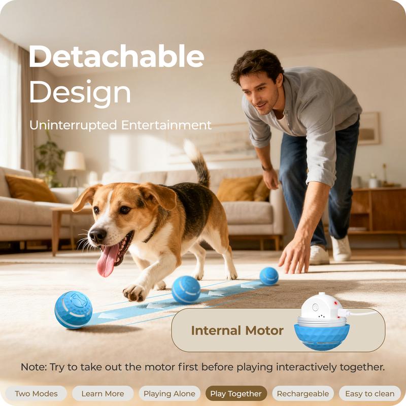 ZoomOrb – Motion-Sensing Dog Play Ball
