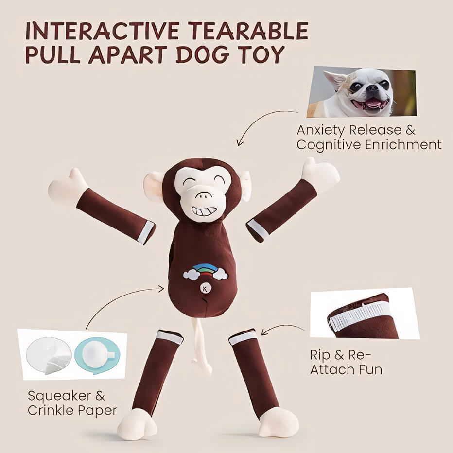 2 Pack Pull Apart Dog Toy