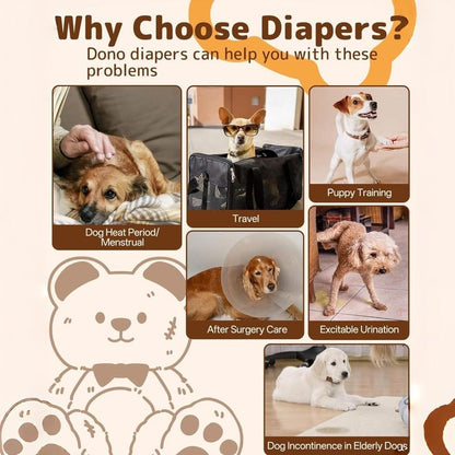 Disposable Female Dog Diapers - 10 Pack