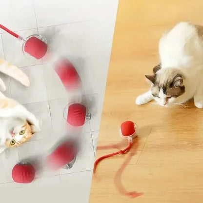 Interactive Ball Toy