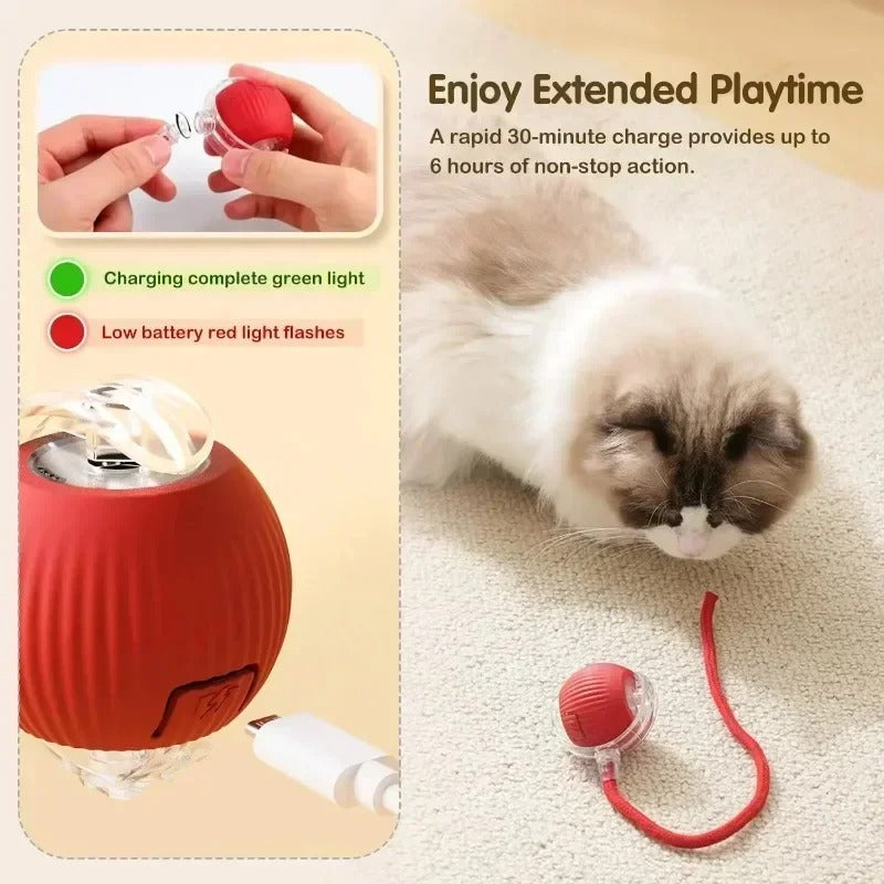 Interactive Ball Toy