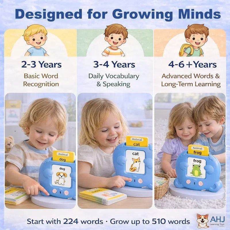 Bilingual Talking Flash Card Toy