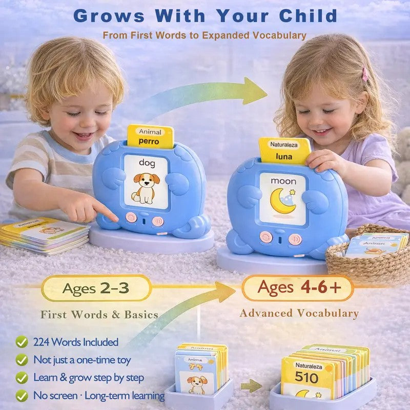 Bilingual Talking Flash Card Toy