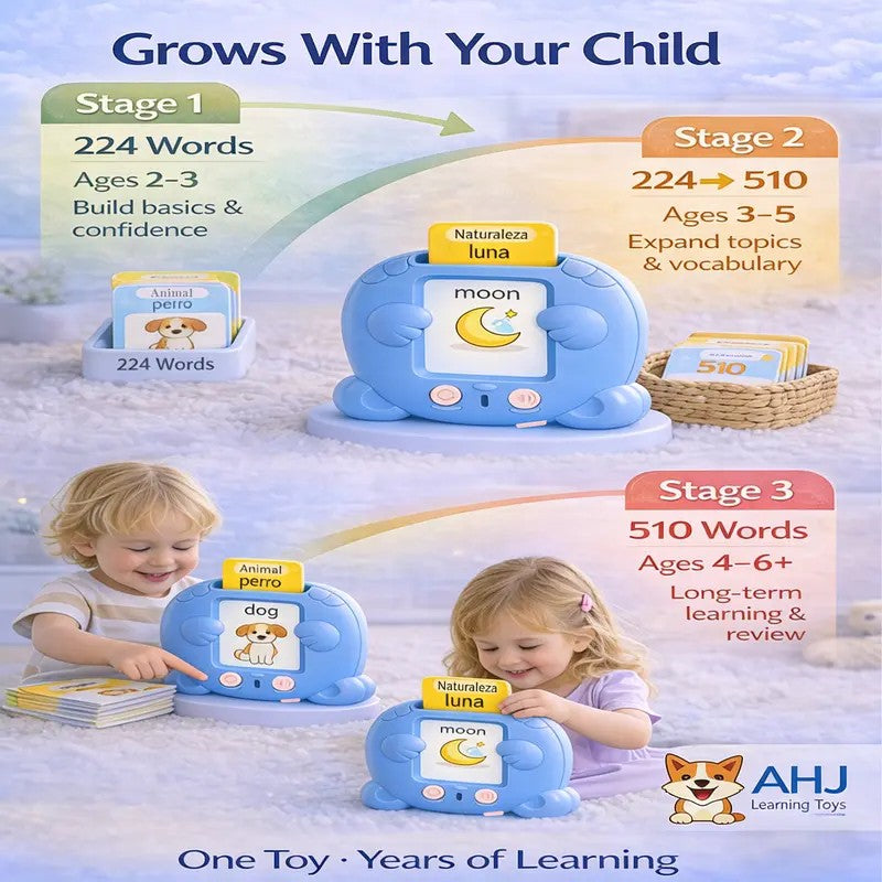 Bilingual Talking Flash Card Toy