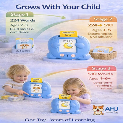 Bilingual Talking Flash Card Toy
