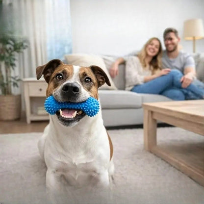 2PC Rubber Dog Dental Chew Toy with Rope