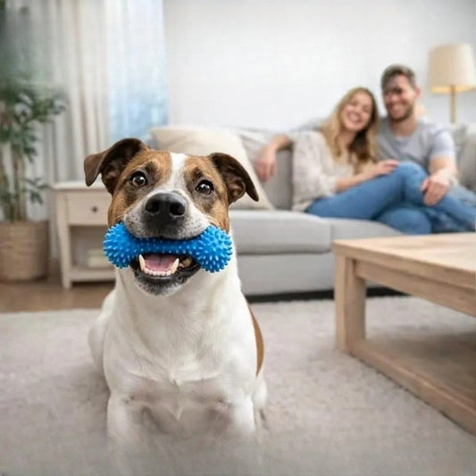 2PC Rubber Dog Dental Chew Toy with Rope