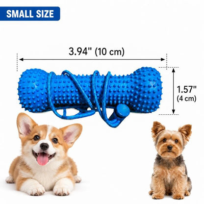 2PC Rubber Dog Dental Chew Toy with Rope