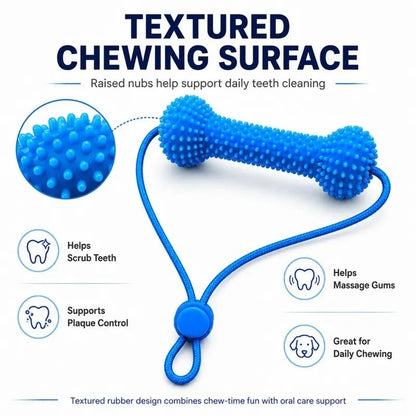 2PC Rubber Dog Dental Chew Toy with Rope