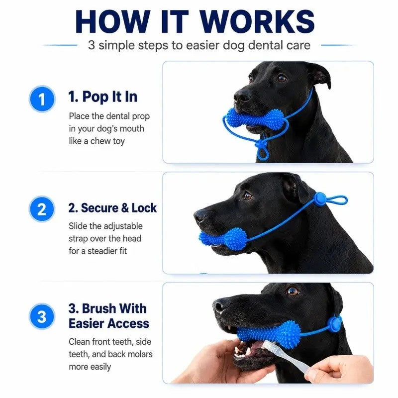 2PC Rubber Dog Dental Chew Toy with Rope