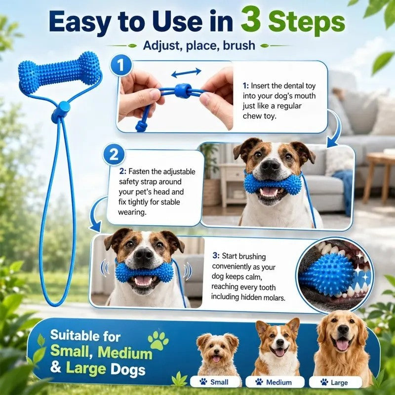 2PC Rubber Dog Dental Chew Toy with Rope