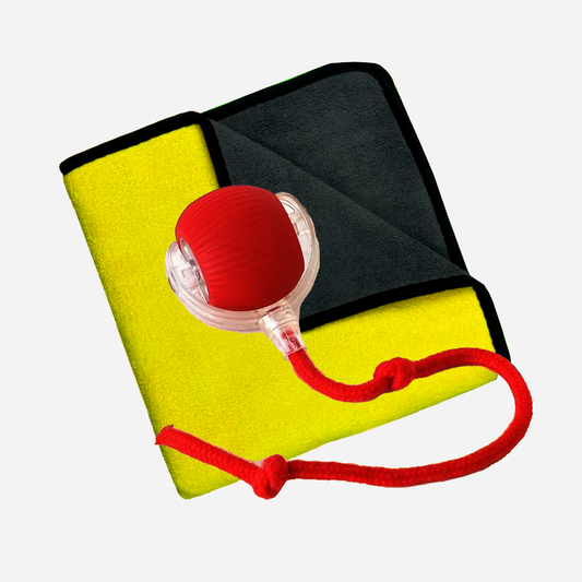 Interactive Ball Toy & Quick Dry Towel